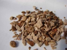 Dioscorea composita - Yam root